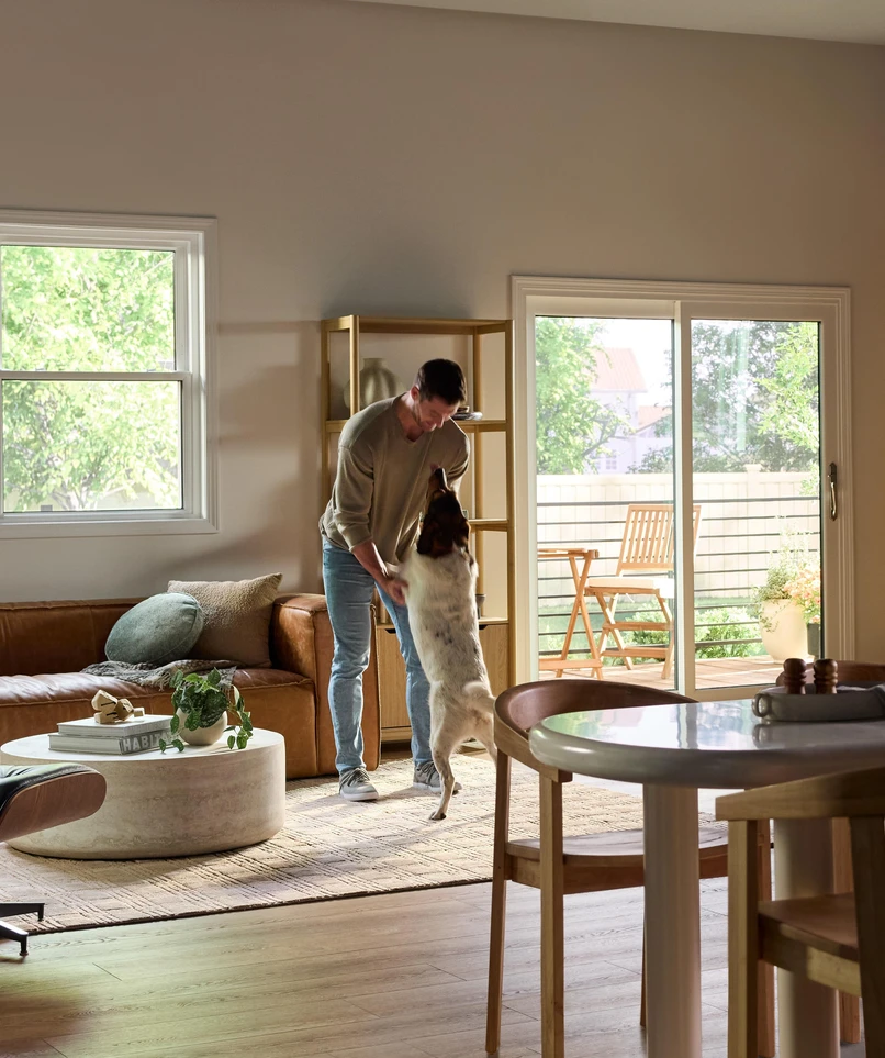A bright, modern living and dining area featuring large Vanguard Series windows that fill the space with natural light and views of lush greenery outside. A man stands near the center of the room playfully holding his medium-sized dog upright on its hind legs. The room includes a brown leather sofa with accent pillows, a round white coffee table with plants and books, a wooden dining table with chairs, and a sliding glass door leading to a small outdoor patio with additional seating.