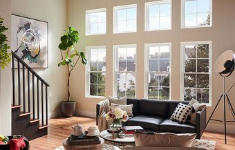 V5000 Restorations Series Windows